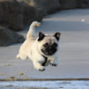 Meet your Posher, Libby